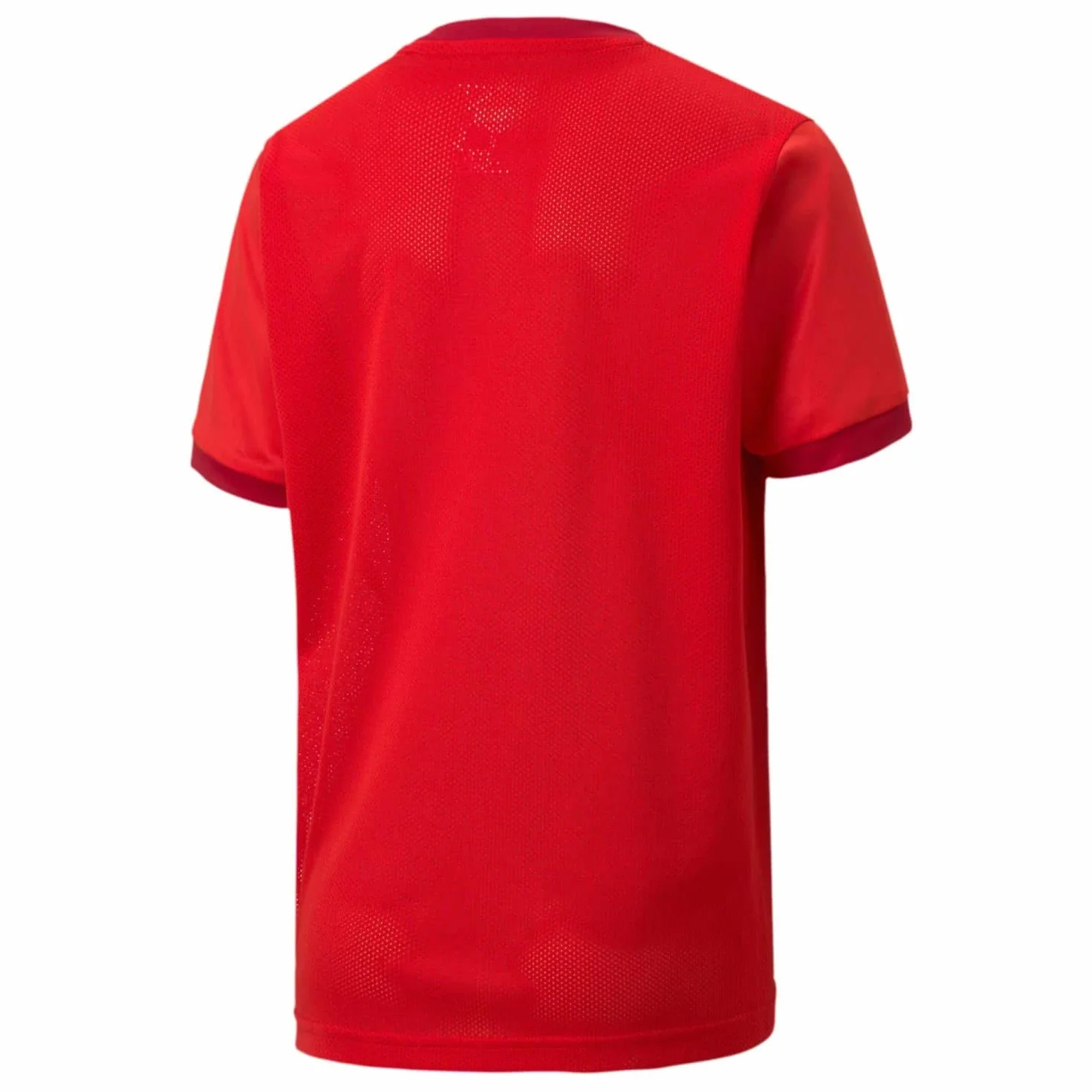 Puma Teamgoal 23 Jersey Jr