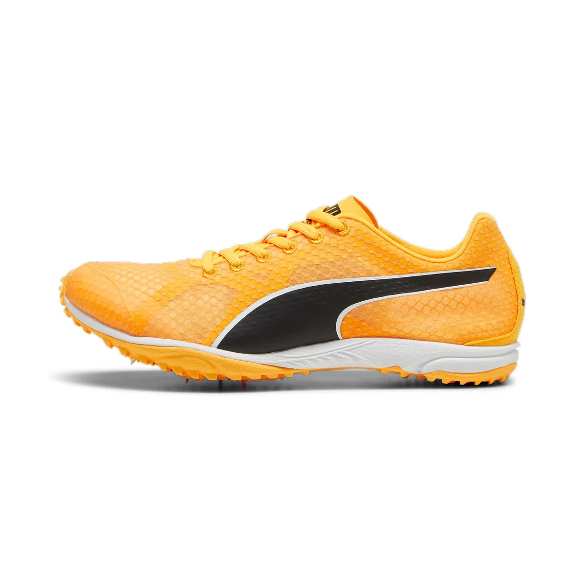 PUMA Evospeed Haraka 8, Track And Field Shoe Unisex-Adulto