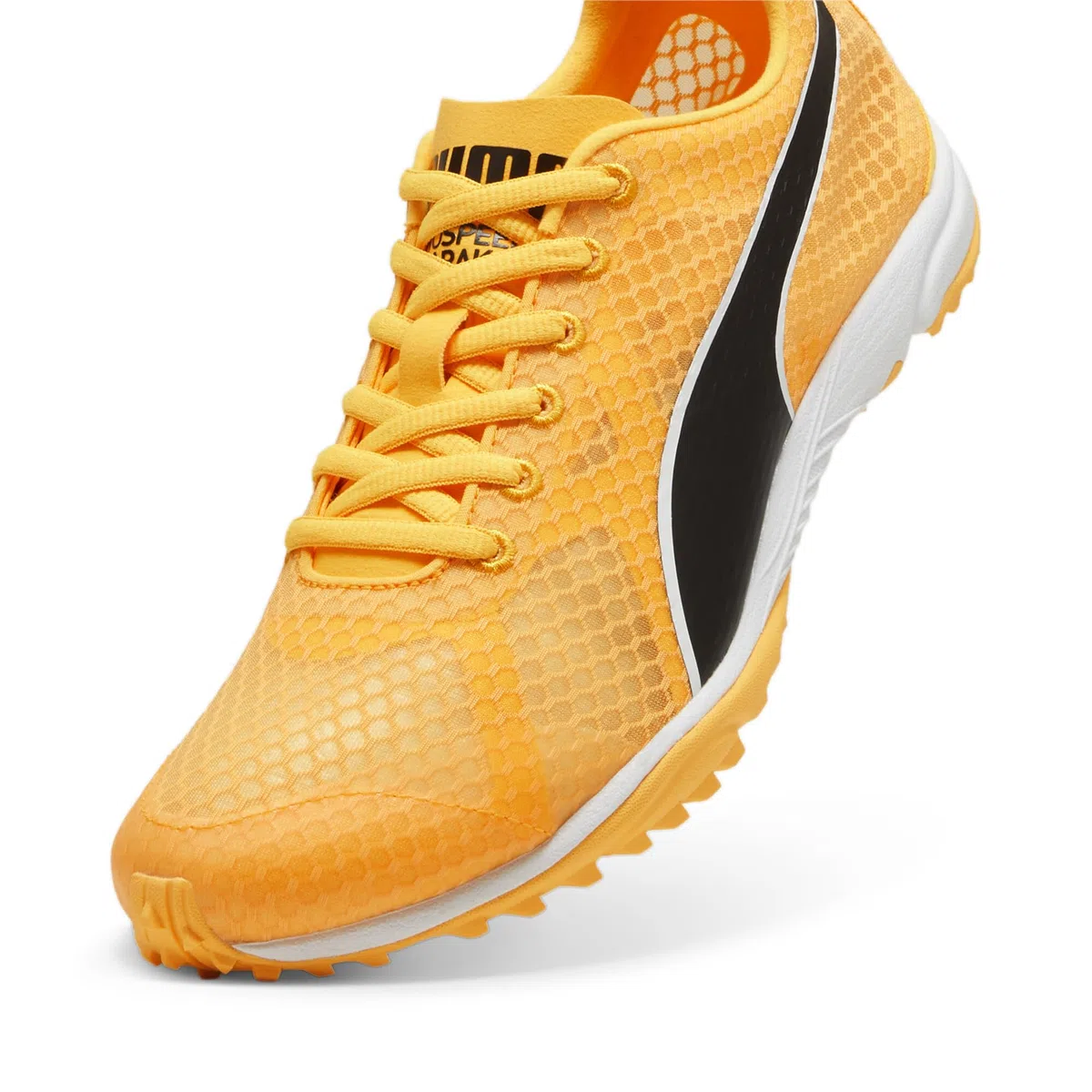 PUMA Evospeed Haraka 8, Track And Field Shoe Unisex-Adulto