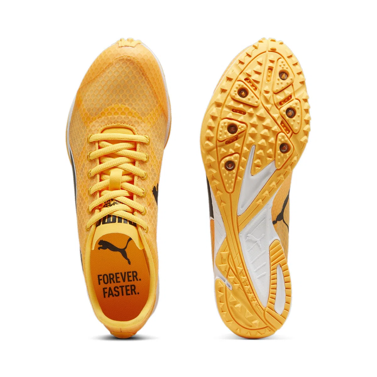 PUMA Evospeed Haraka 8, Track And Field Shoe Unisex-Adulto