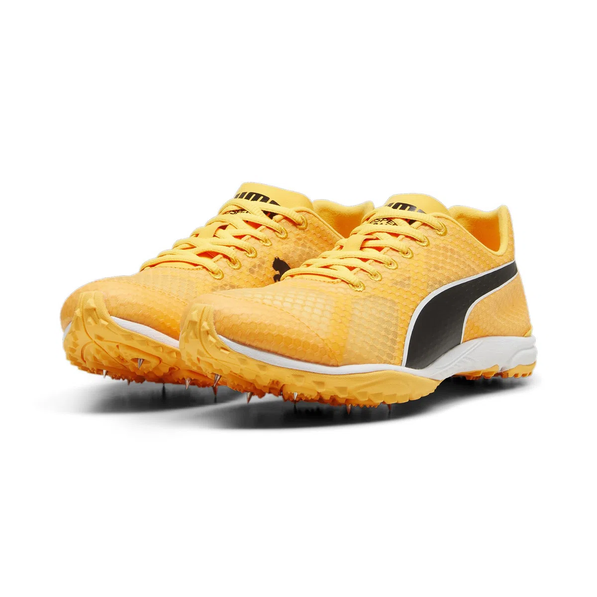 PUMA Evospeed Haraka 8, Track And Field Shoe Unisex-Adulto