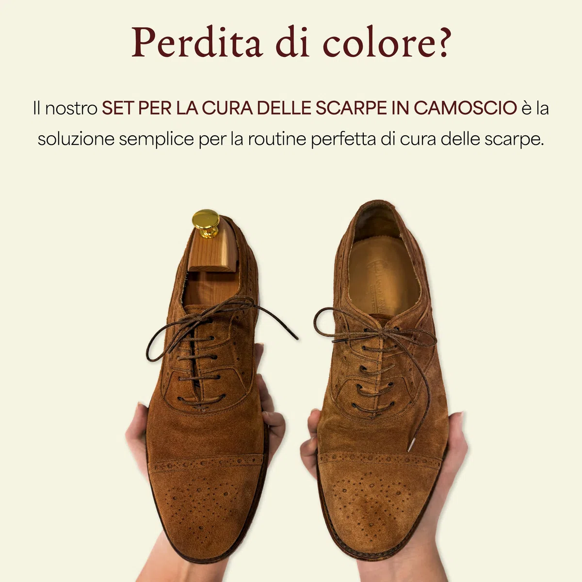 Langer & Messmer set per la cura delle scarpe in pelle scamosciata - kit per la cura delle scarpe con spazzole per nubuck e prodotti per il rinfresco del colore, la protezione e l'impregnazione