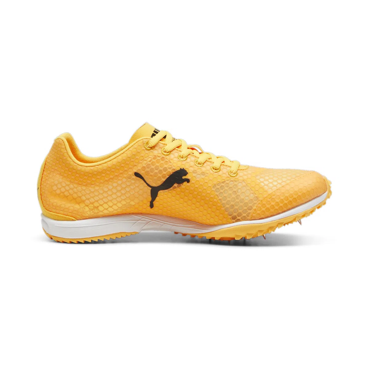 PUMA Evospeed Haraka 8, Track And Field Shoe Unisex-Adulto