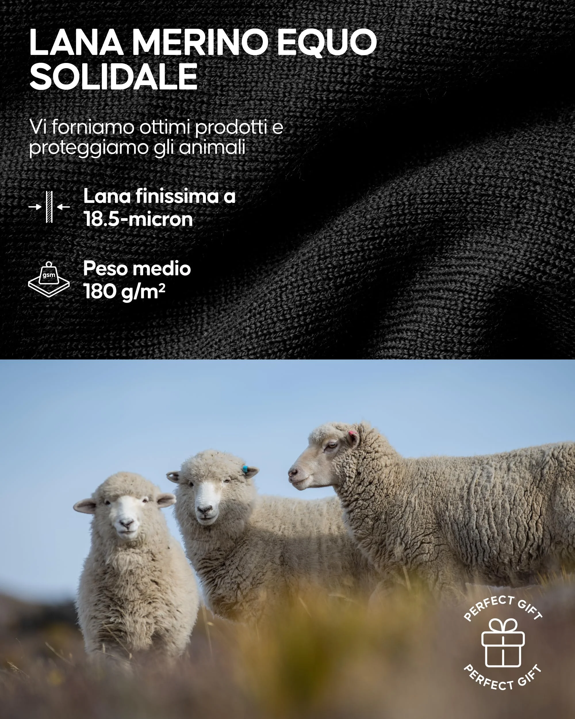 DANISH ENDURANCE Leggings Donna in Lana Merino, Pantaloni Termici, Pantacollant Invernali da Sci