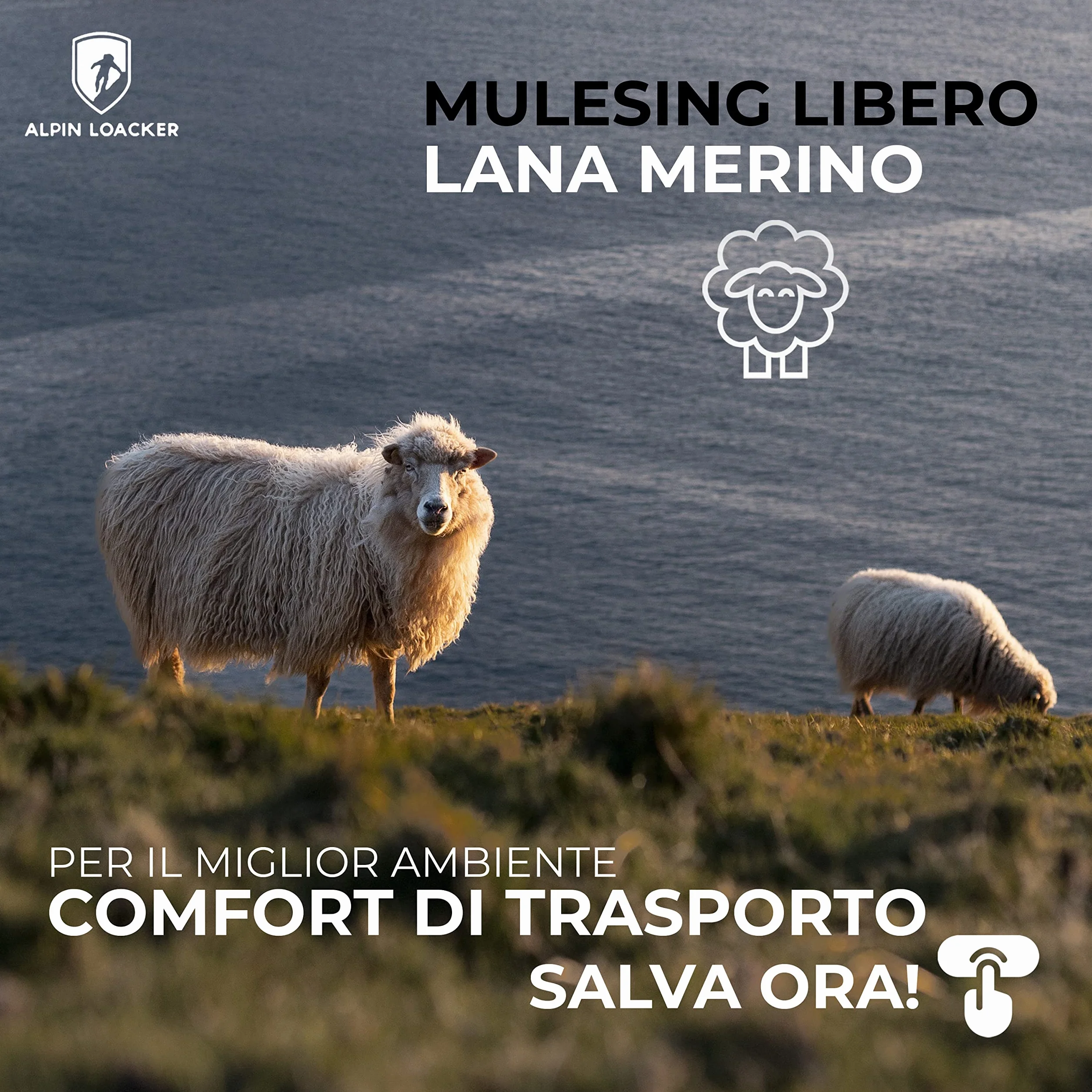 ALPIN LOACKER Coolmax - Maglietta da Donna in Lana Merino a Maniche Corte, 150 g/m2, Traspirante, ad Asciugatura Rapida e Fresca, Maglietta Termica in Lana Merino